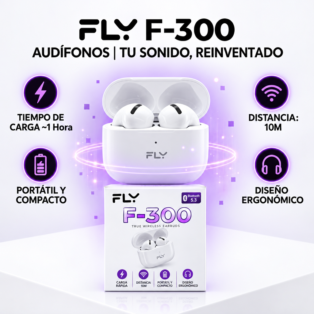 FLY F-300 - Img2