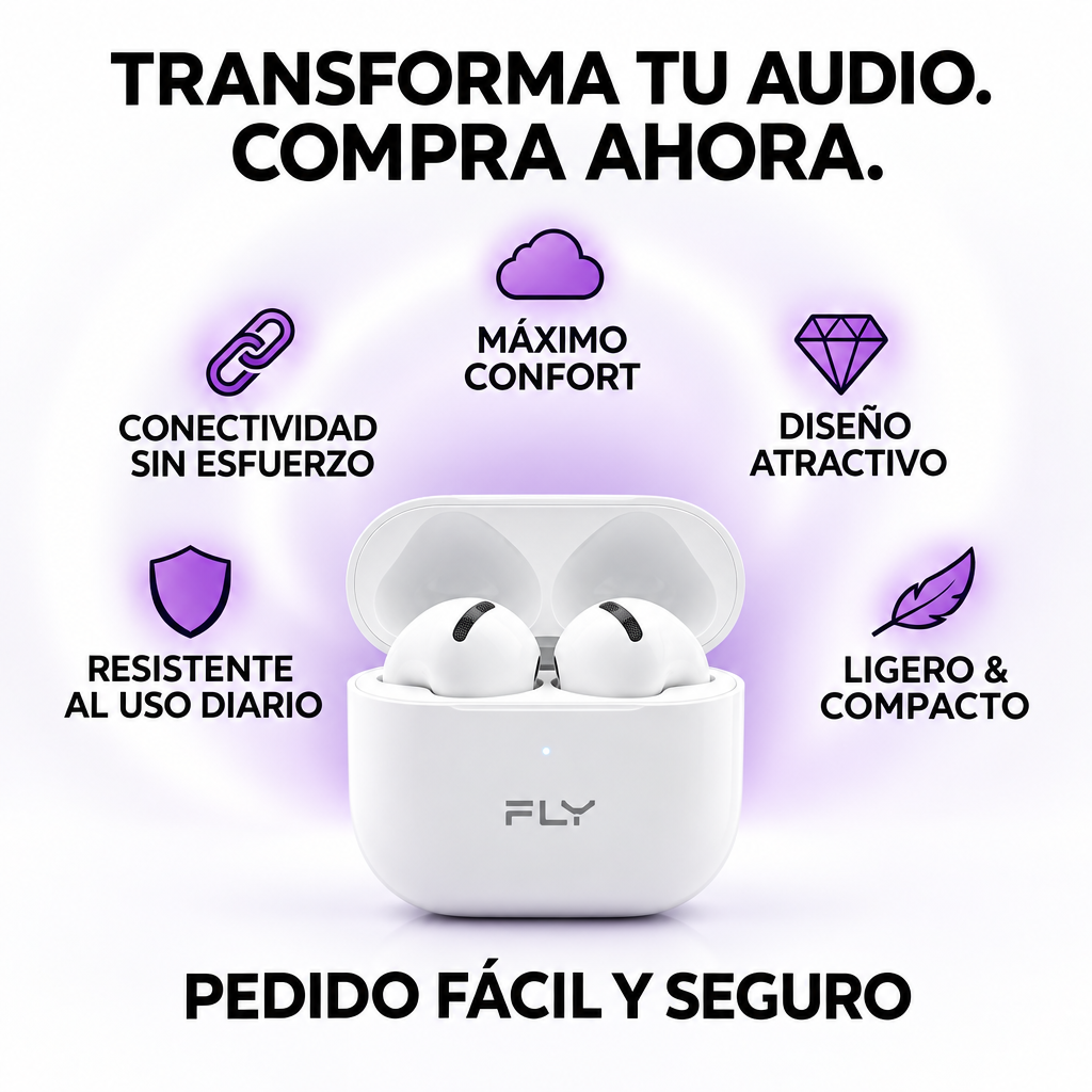FLY F-300 - Img4
